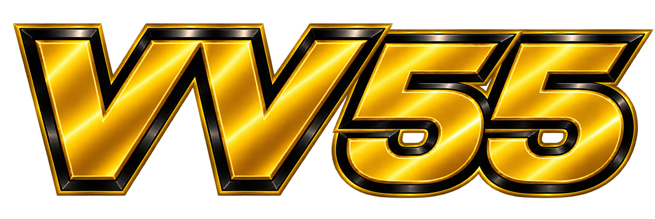 VV55 LOGO
