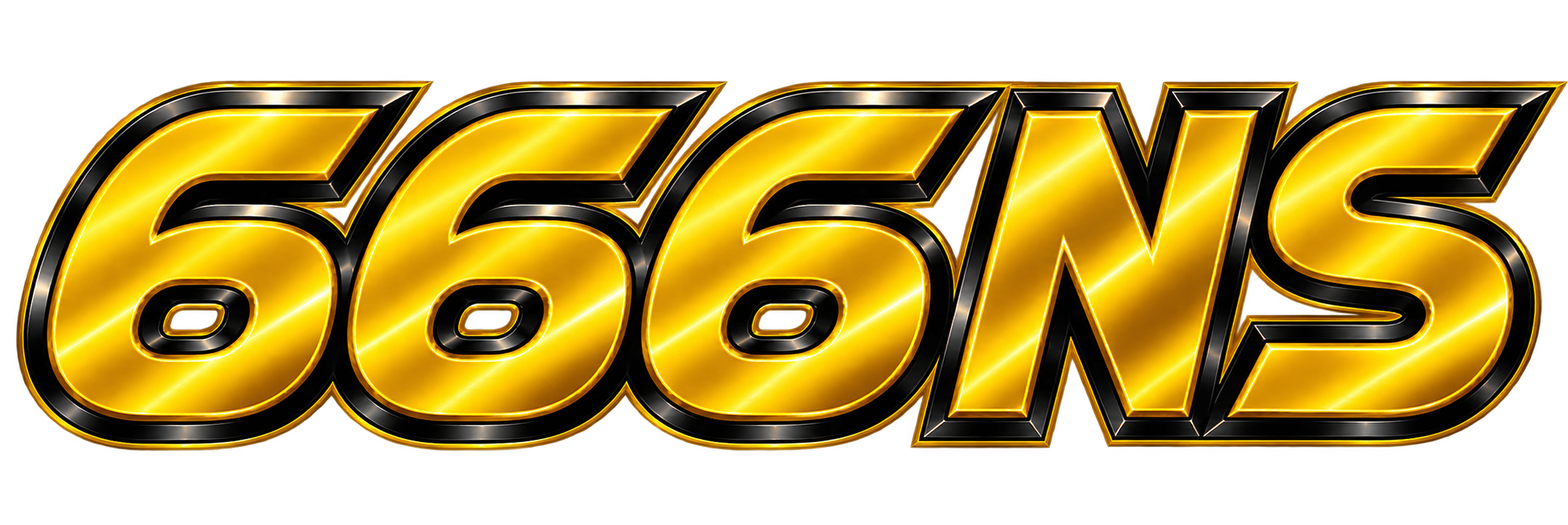 666NS LOGO